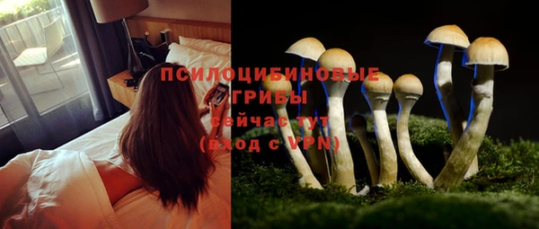 эйфоретик Остров