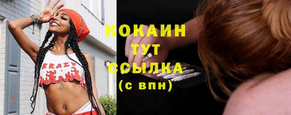 первитин Осинники