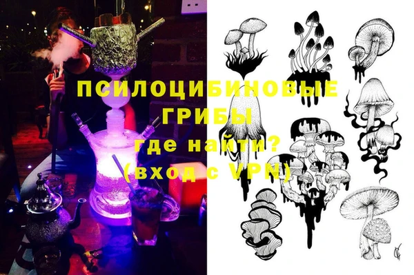 бошки Осташков