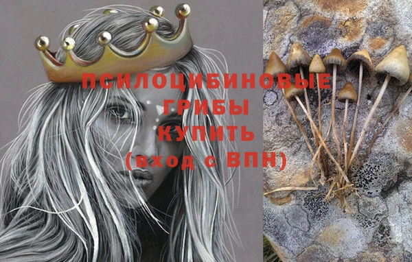 бошки Осташков