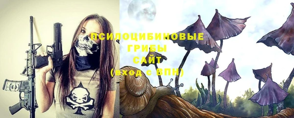 бошки Осташков