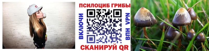 Псилоцибиновые грибы GOLDEN TEACHER  Шадринск 