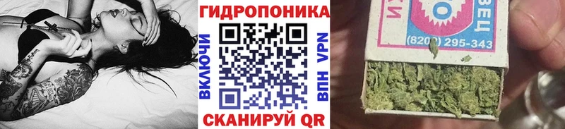 Марихуана семена Шадринск